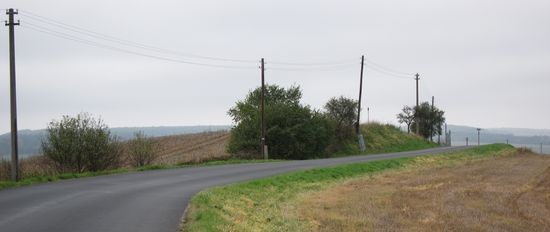 IMG_7096