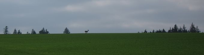 IMG_7310