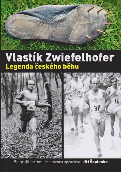 vlastik