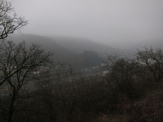 IMG_7955