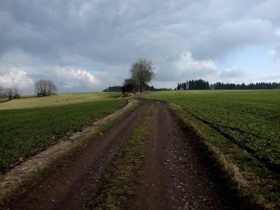 IMG_9659