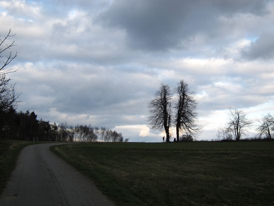 IMG_9897