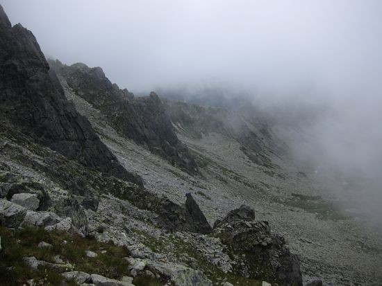 IMG_1333