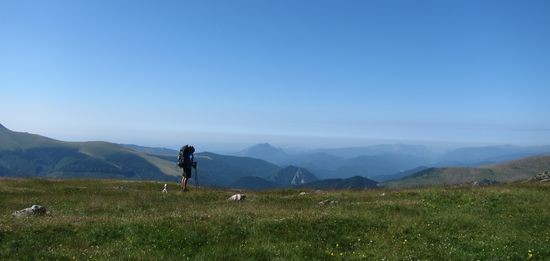 IMG_1529