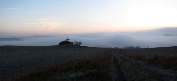 IMG_0184