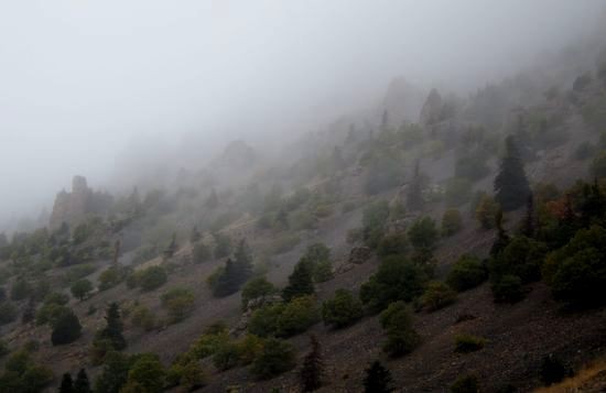 IMG_7959