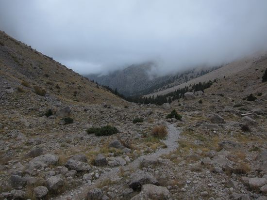 IMG_7986
