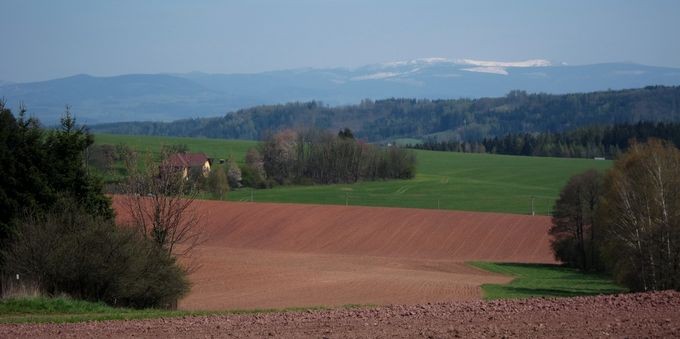 IMG_1766