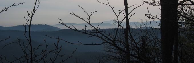 IMG_1925