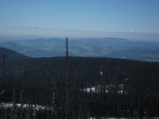 IMG_1279