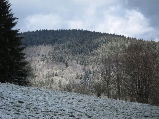 IMG_1573