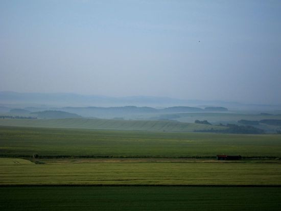 IMG_2129