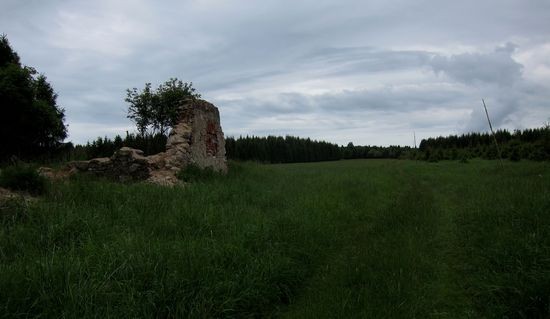 IMG_2245