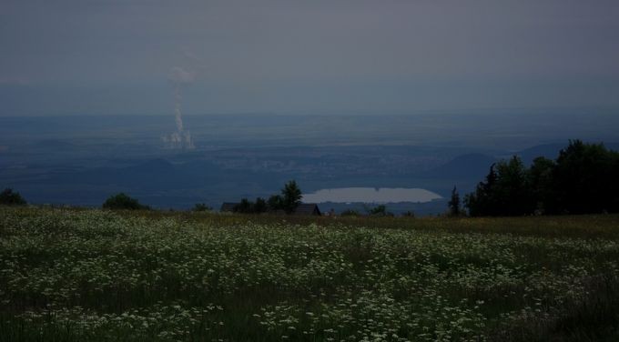 IMG_2259