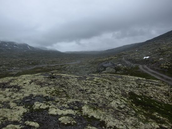 IMG_2945