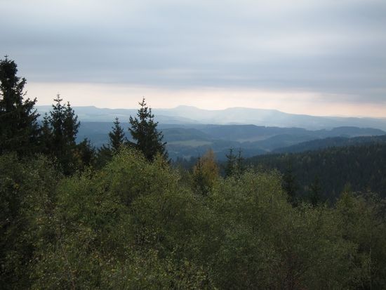 IMG_4263