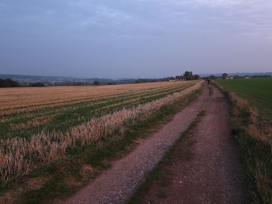 IMG_4278