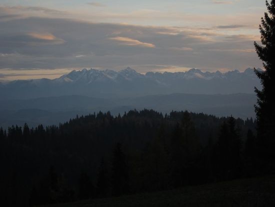 IMG_4424