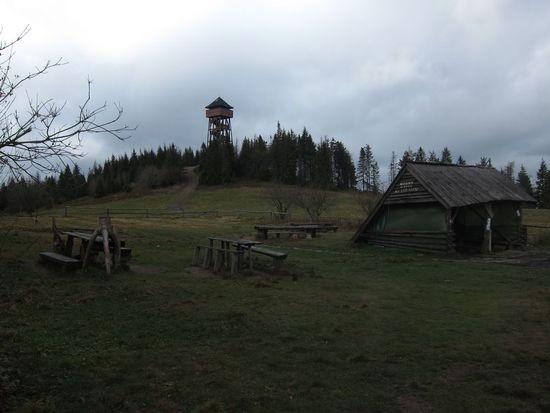 IMG_4474
