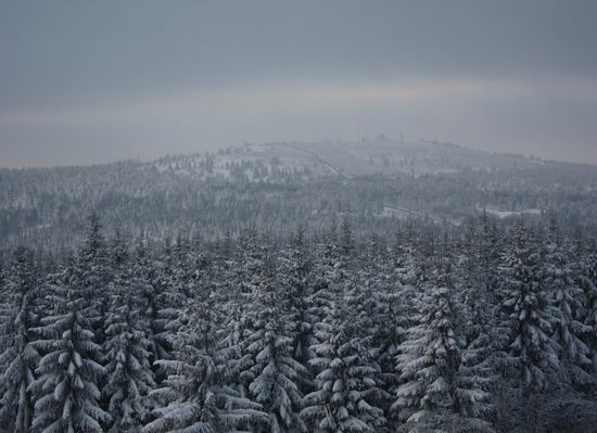 IMG_4891