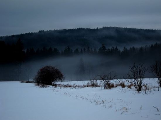 IMG_5026