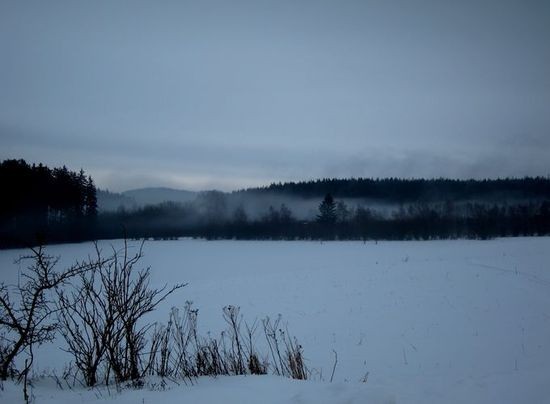 IMG_5028