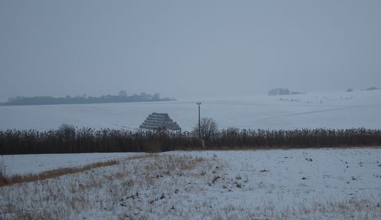 IMG_5054