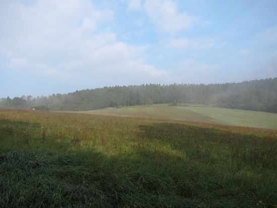 IMG_0081