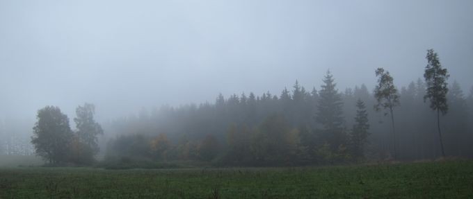 IMG_0465