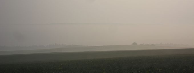IMG_2522