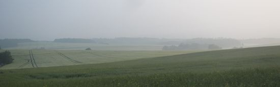 IMG_2520