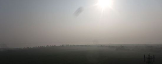 IMG_2530