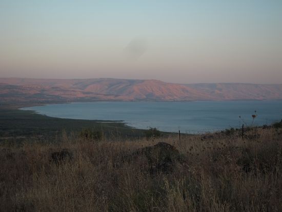 IMG_4029
