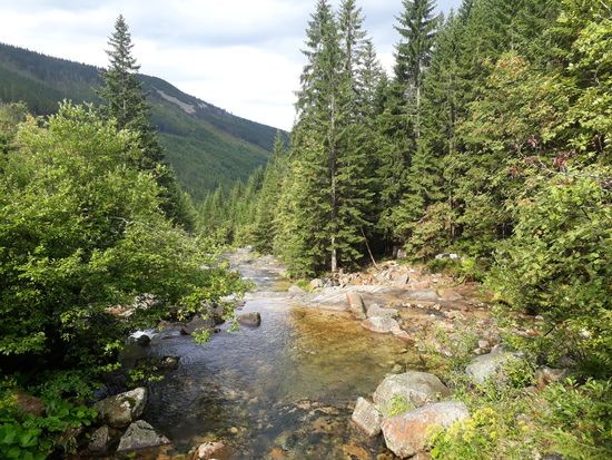 2018_08_10 Krkonose 06