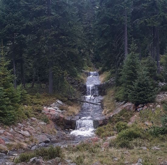 2018_08_10 Krkonose 14