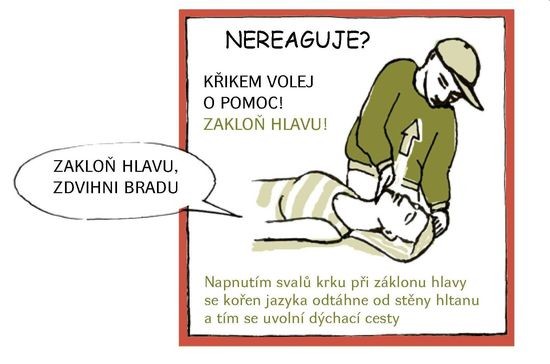 2018_09_02 ZDrSEM zaklon hlavy