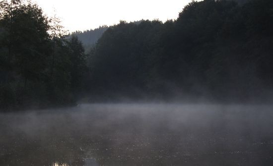 IMG_5272
