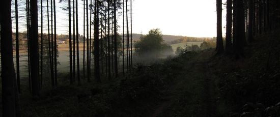 IMG_5277
