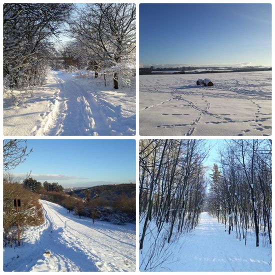2019_02_04 kolaz 1