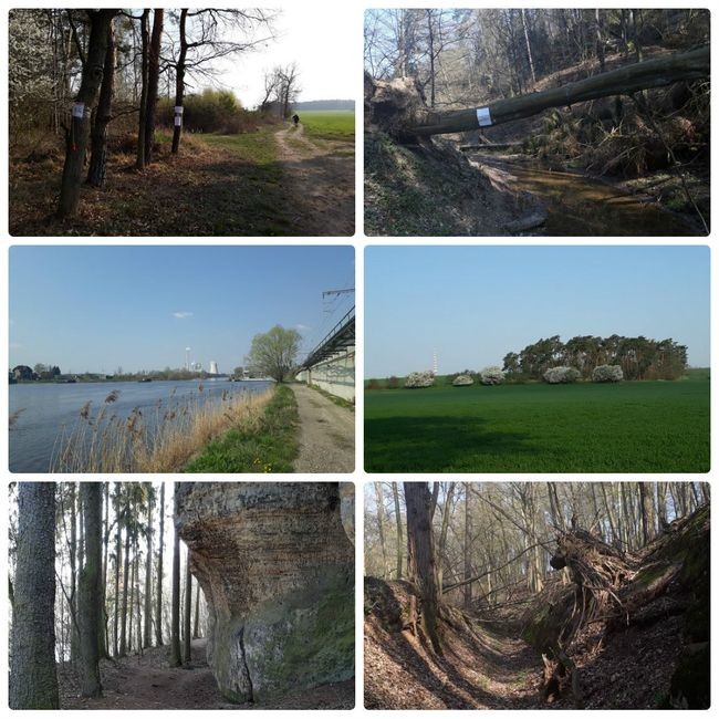 2019_04_06 Stredoceska sedesat