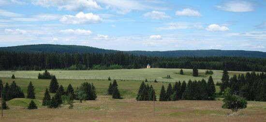 IMG_6770