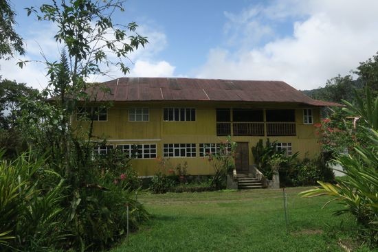 8 Yellow House