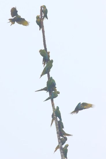 bMG_3022