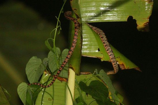 bMG_1396