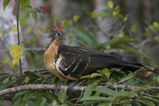 bMG_4249