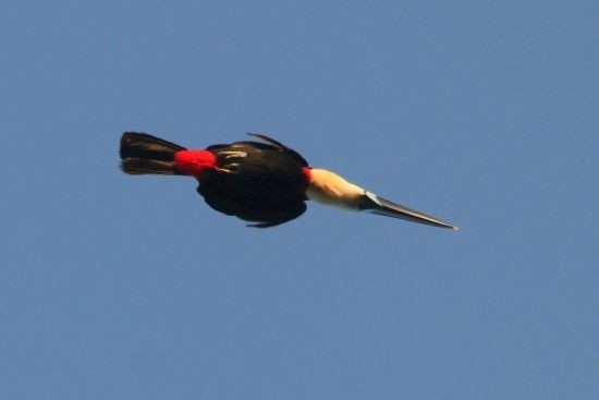 bMG_4445