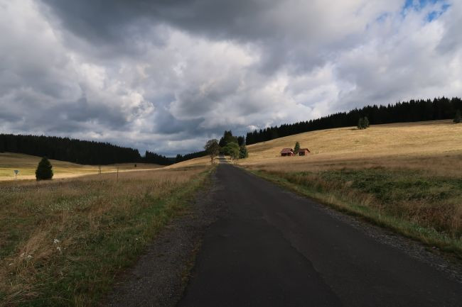 IMG_0511