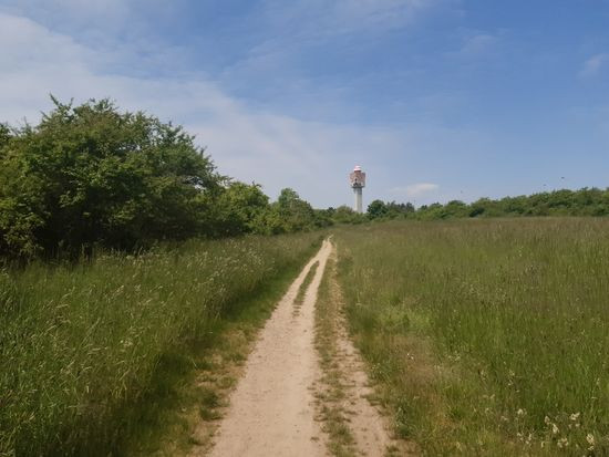2021_06_05 prochazka 2