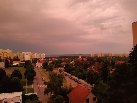 2021_06_29 zlute rano 1