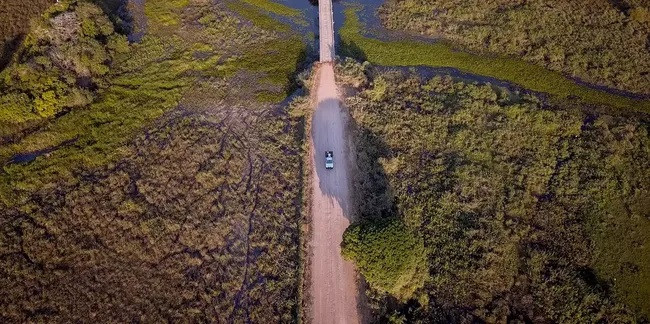 pantanal